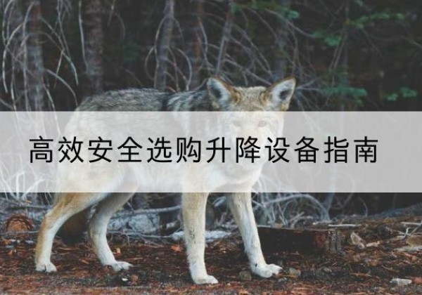南宁升降货梯厂家推荐-*安全选购升降设备指南