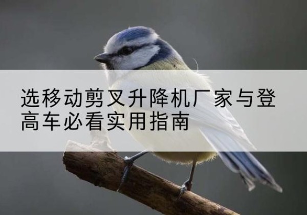 南宁电动升降机厂家-选移动剪叉升降机厂家与登高车必看实用指南